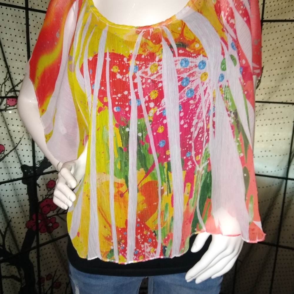 Disorderly Conduct Closet... Top
